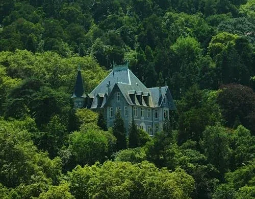 Sintra completa + biglietto per il Palazzo da Pena — 1